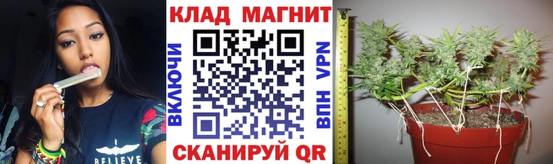 Все наркотики Дальнегорск Псилоцибиновые грибы COCAIN МЕФ Марихуана ГАШ Амфетамин