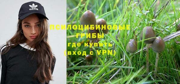 трава Елизово