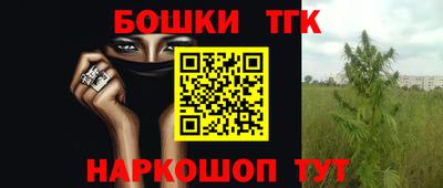 шишки Шебекино