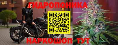 MDMA Premium VHQ Шелехов