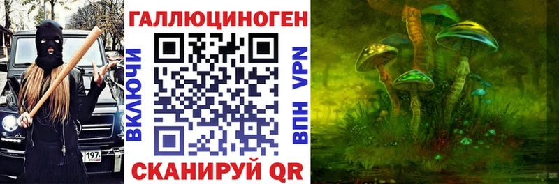 shop состав  где найти наркотики  Дальнегорск  Псилоцибиновые грибы Magic Shrooms 